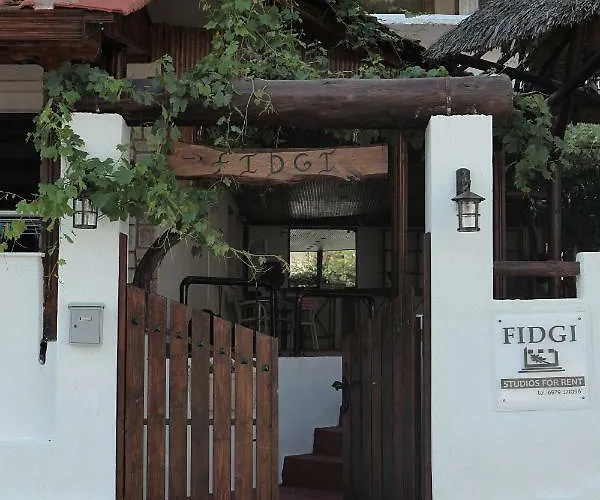 Fidgi